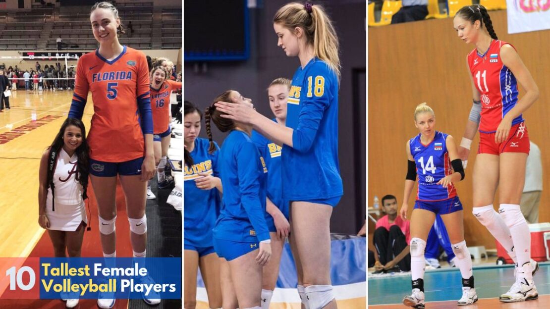 The Top 10 Tallest Female Volleyball Players SportsXm